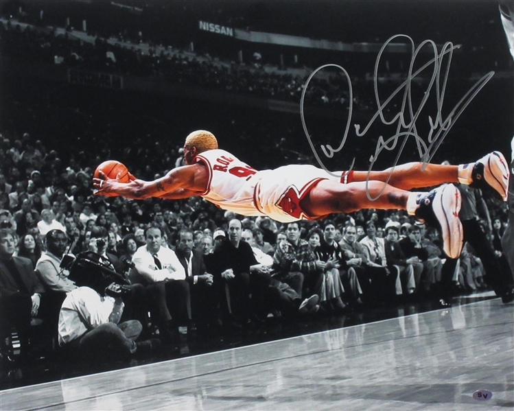 Chicago Bulls Dennis Rodman Signed 16x20 Dive Spotlight photo