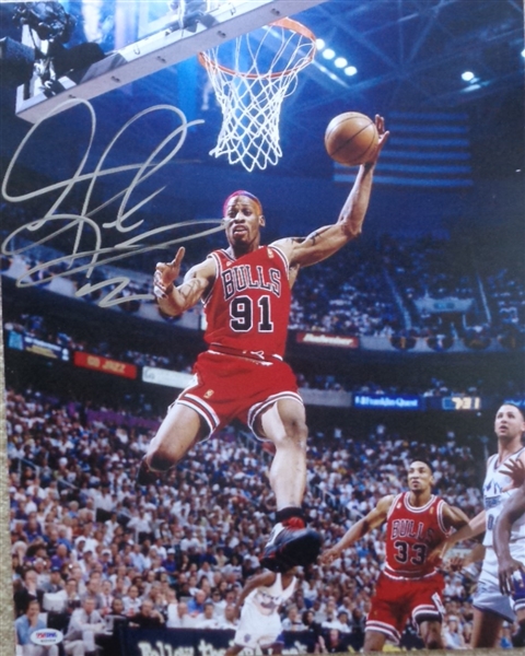 Dennis Rodman Chicago Bulls Signed 16x20 Action Photo PSA/DNA COA No Reserve
