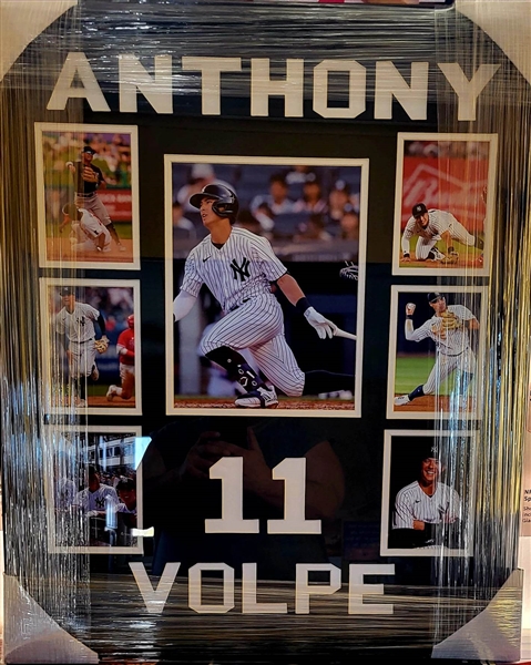 New York Yankees Anthony Volpe Unsigned Framed Collage 22"x26"