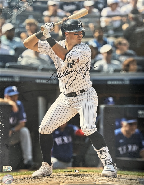 NY Yankees ANTHONY VOLPE signed 16x20" Photo. Certification by Fanatics Hologram.